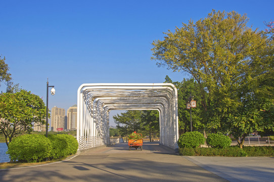 海丝艺术公园道路及绿树景观