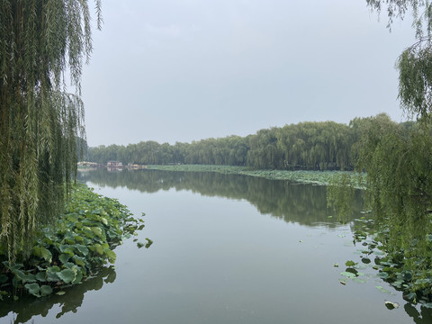 圆明园湖景