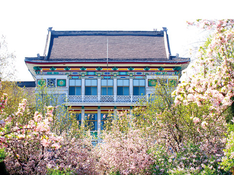山师大建筑