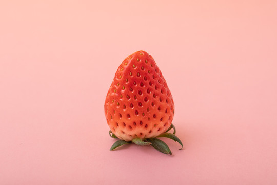 草莓