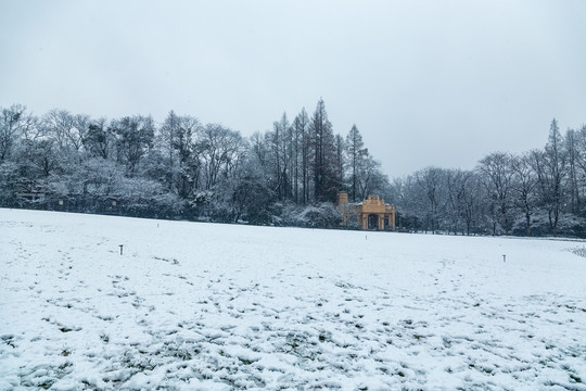 杭州太子湾公园雪霁