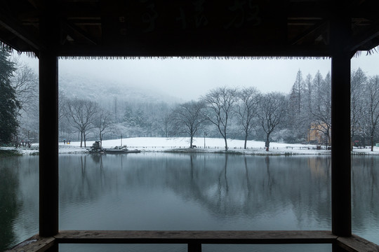 杭州太子湾公园雪霁