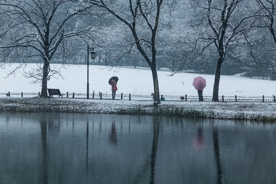 杭州太子湾公园雪霁