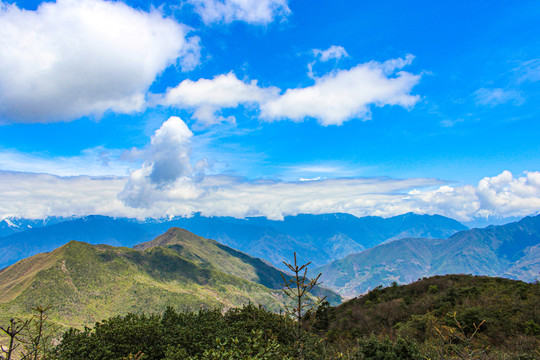 四姑娘山