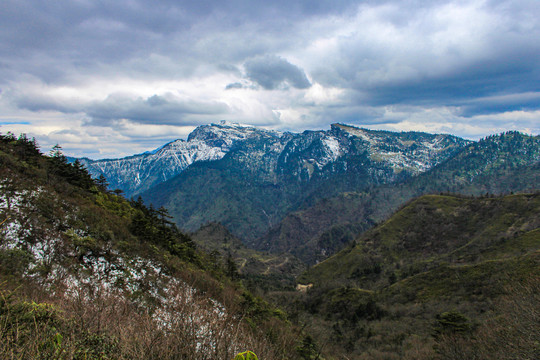 四姑娘山