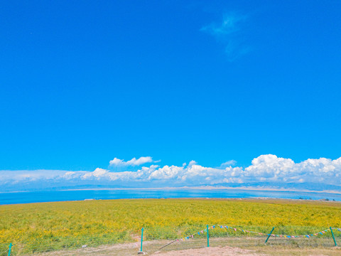 青海湖风景区