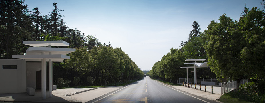 道路景观提升建设工程