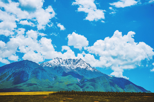 高原雪山