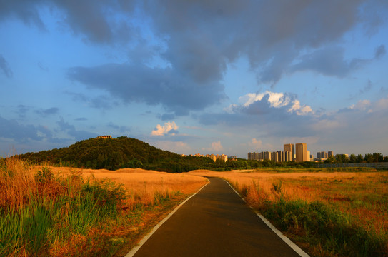 武汉城市田野风光