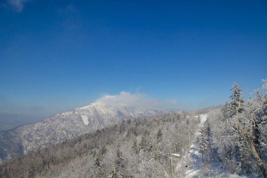 牡丹江雪乡雪谷雪蘑菇东北旅游