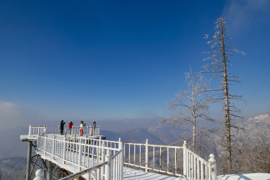 牡丹江雪乡雪谷东北冬季旅游