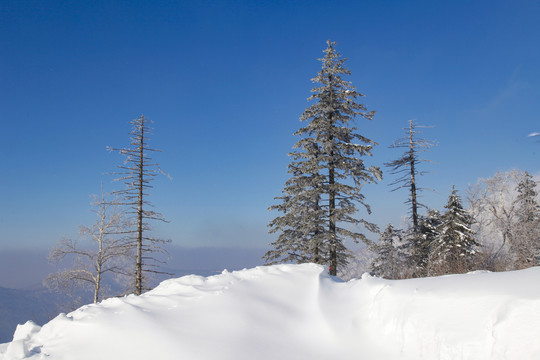 牡丹江雪乡雪谷东北旅游