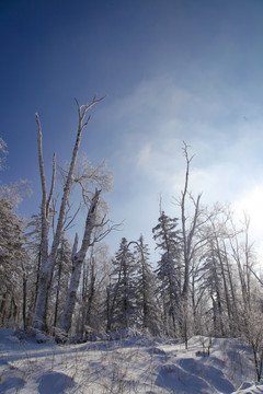 牡丹江雪乡雪谷东北旅游