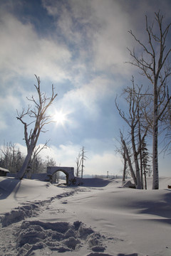 牡丹江雪乡雪谷东北旅游冬季