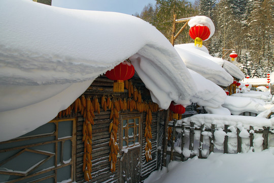 中国雪乡雪房子东北旅游