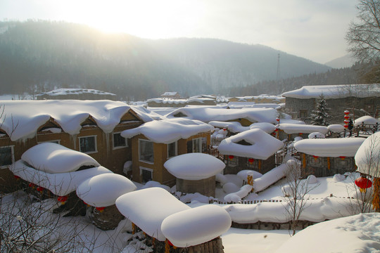 中国雪乡雪房子东北旅游雪景