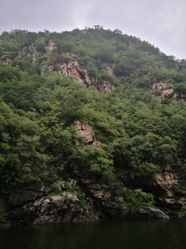 山水树