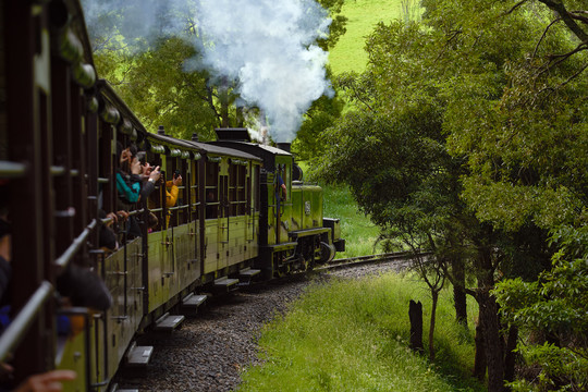 蒸汽火车前进绿森林照片