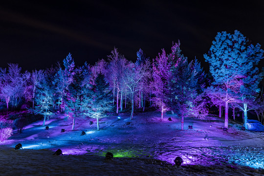 长春汽车冰雪嘉年华夜晚场景