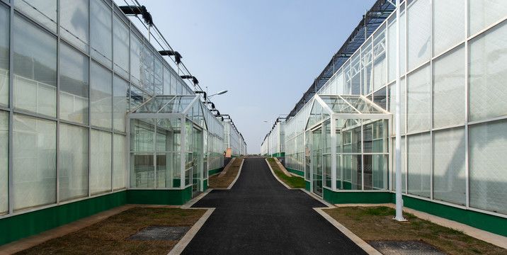 现代化智能植物温室