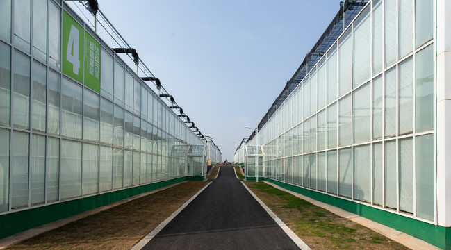现代化智能植物温室
