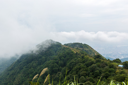 桂平玛丽山山顶风光