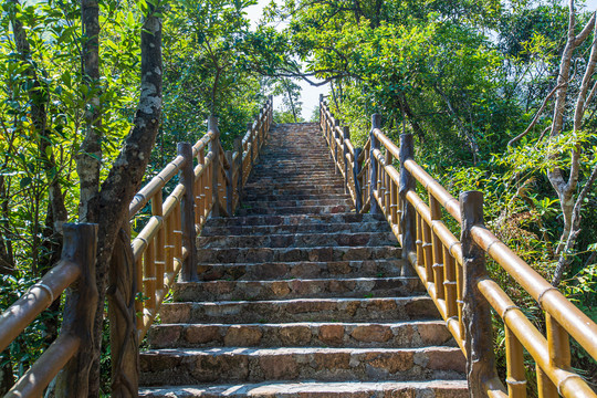 平南北帝山旅游风景区登山阶梯