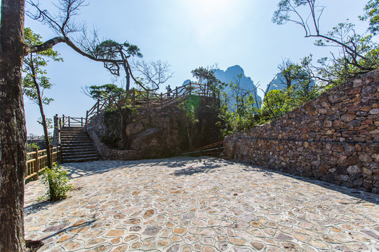 北帝山旅游风景区五针松观景台