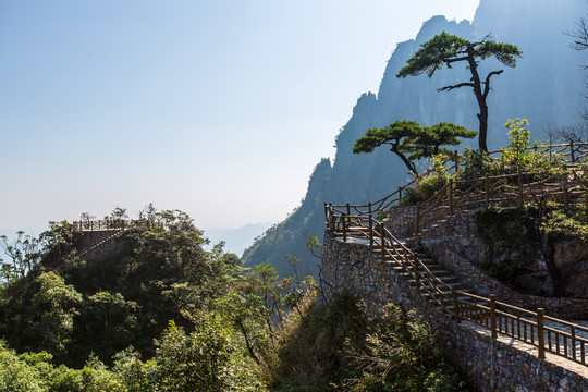 北帝山旅游风景区五针松观景台