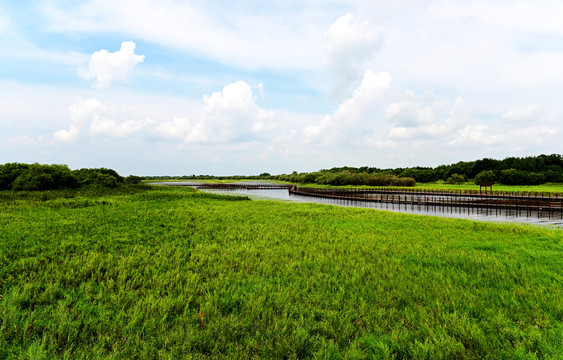 黑瞎子岛湿地