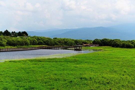 黑瞎子岛湿地