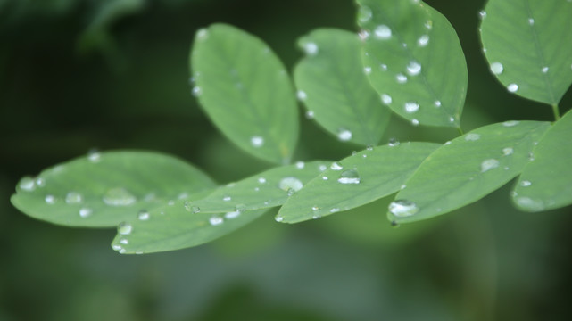 雨后