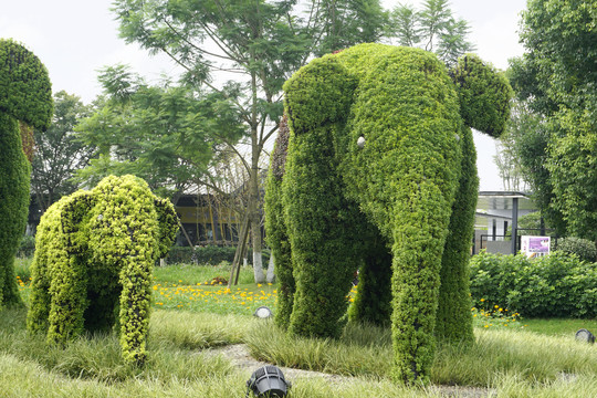 绿植雕塑大象