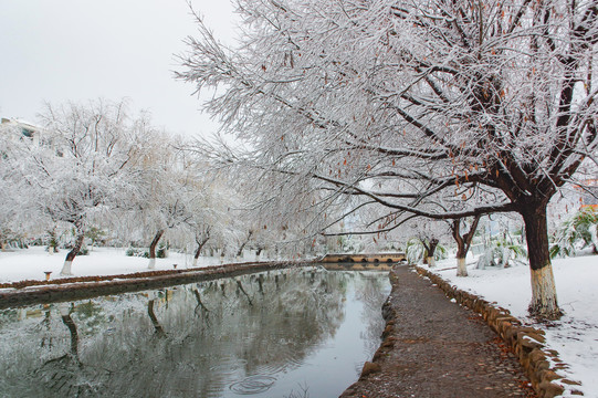 河道雪景