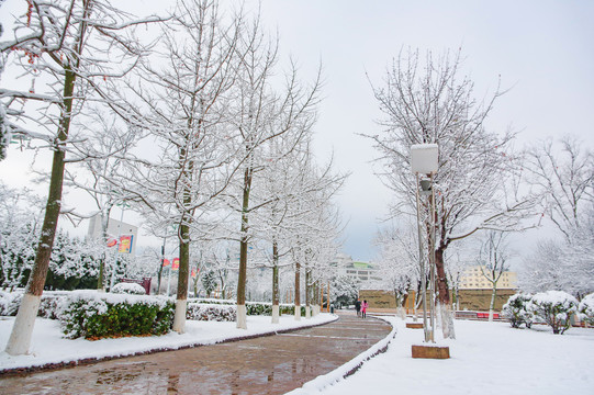 会泽雪景