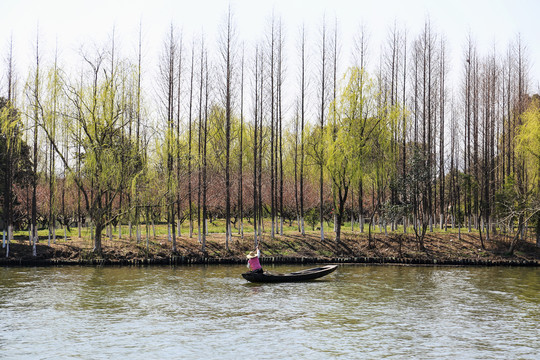 下渚湖湿地