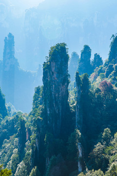 张家界天子山