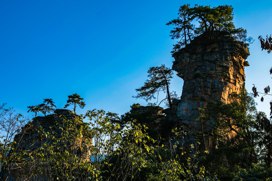 天子山