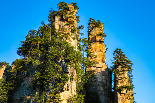 天子山