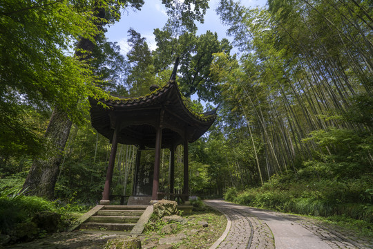 杭州云栖竹径