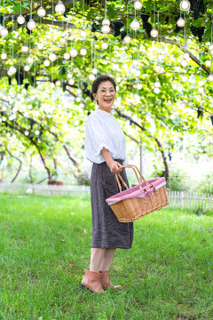 老年女人在果园采摘葡萄