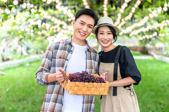 年轻夫妻在果园采摘葡萄