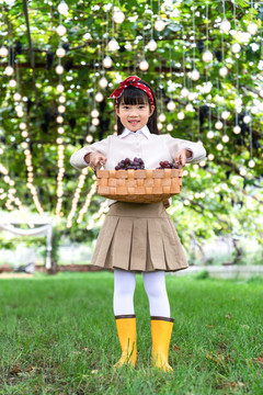 女孩在果园采摘葡萄