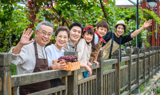 全家人在果园采摘葡萄