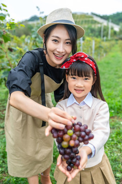 快乐母女在果园采摘葡萄