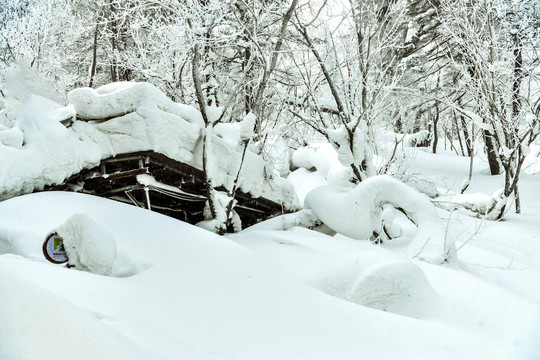 雪地