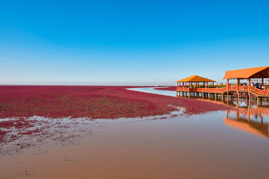 红海滩