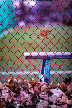 球场铁丝网边的板凳和落叶