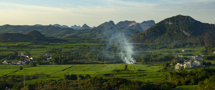 绿色风景