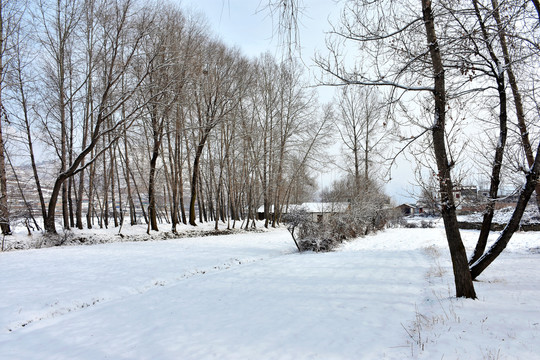 乡村雪霁